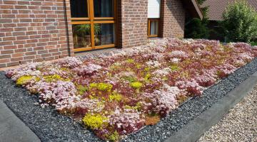 Dachbegrünung Förderprogramme (Copyright: Lutz Hoves)